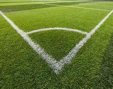 日本,实力出众曾,挫败比利时,江南体育平台,江南体育官方网站,江南体育登录入口,江南体育app下载