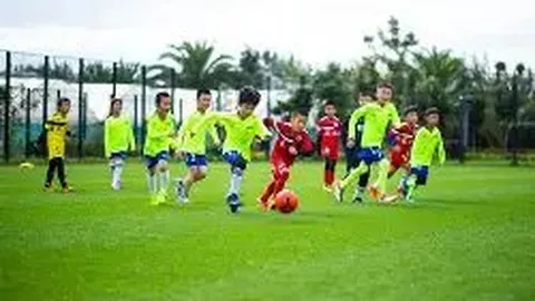 江南体育 资讯 091244 xut