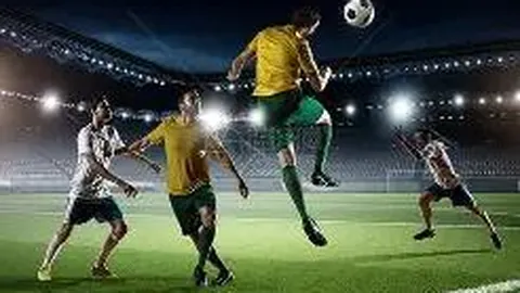 江南体育 资讯 090855 208