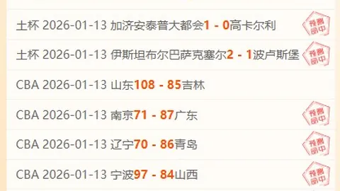 韦尔斯远投三分球击中篮筐！